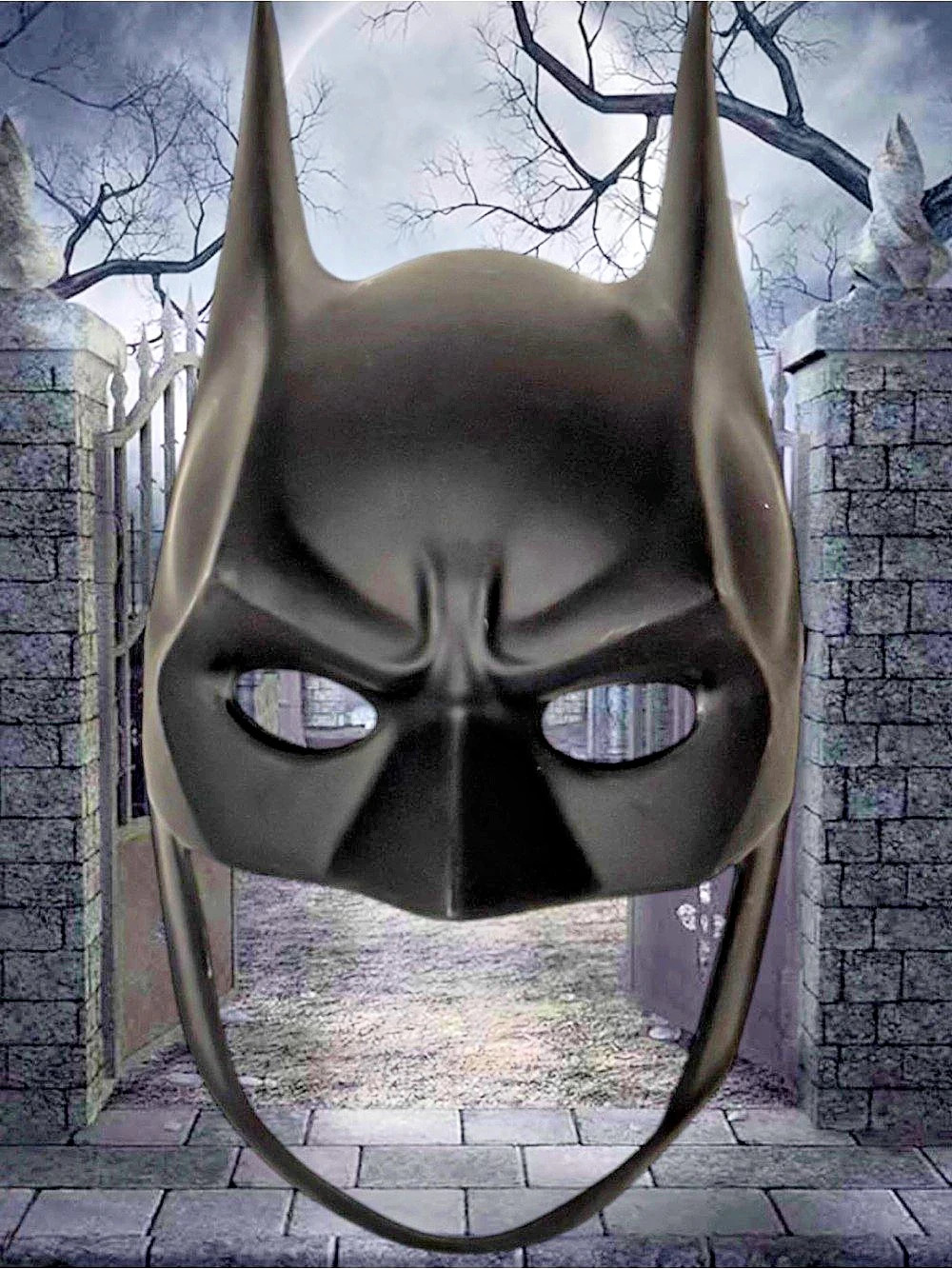 2 for $30 | Rubie's Batman Adult Mask Black